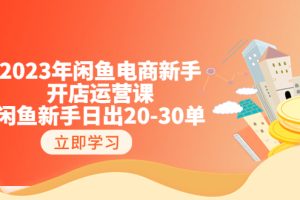 （6471期）2023年闲鱼电商新手开店运营课：闲鱼新手日出20-30单（18节-实战干货）