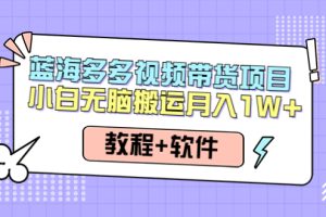 （4343期）人人都能操作的蓝海多多视频带货项目 小白无脑搬运月入10000+（教程+软件）