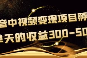 （3794期）黄岛主《抖音中视频变现项目孵化》单天的收益300-500 操作简单粗暴