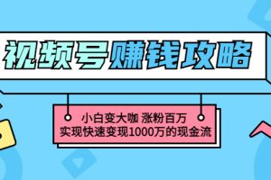 （3020期）玩转微信视频号赚钱：小白变大咖 涨粉百万 实现快速变现1000万的现金流