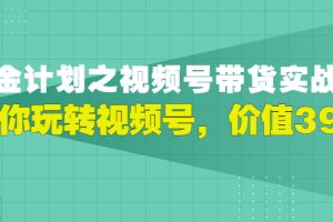 （2979期）视频号带货实战营，带你玩转视频号