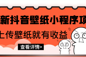 （2775期）最新抖音壁纸小程序项目，上传壁纸就有收益【躺赚收益】
