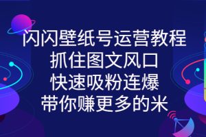 （2764期）闪闪壁纸号运营教程，抓住图文风口，快速吸粉连爆，带你赚更多的米