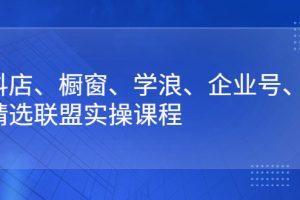 （2640期）抖店、橱窗、学浪、企业号、精选联盟实操课程