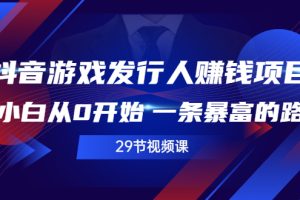 （2516期）抖音游戏发行人赚钱项目，小白从0开始 一条暴富的路（29节视频课）