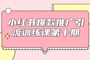 （1693期）小红书爆款推广引流训练课第十期，手把手带你玩转小红书，轻松月入过万