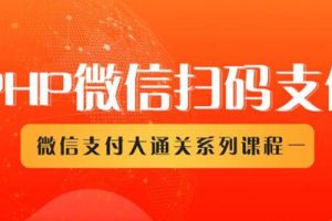 （1341期）微信扫码支付系列课，支付接口接入必备技术，实现在线自动化收款（5节课）