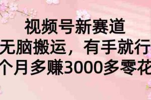 （9277期）视频号新赛道，无脑搬运，有手就行，每个月多赚3000多零花钱