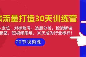 （9782期）实体-流量打造-30天训练营：个人定位，对标账号，选题分析，投流解读-70节