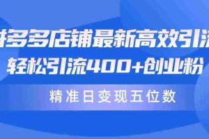 （10041期）拼多多店铺最新高效引流术，轻松引流400+创业粉，精准日变现五位数！
