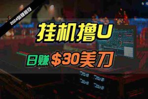 （10013期）日赚30美刀，2024最新海外挂机撸U内部项目，全程无人值守，可批量放大