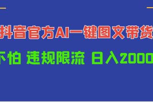 （10005期）日入1000+抖音官方AI工具，一键图文带货，不怕违规限流