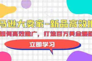（9945期）亚马逊 大卖家-新品高效推广，分享如何高效推广，打造百万美金爆款单品