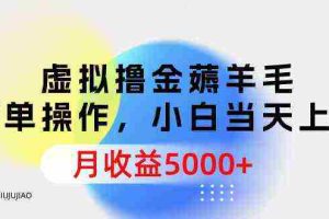 （9864期）虚拟撸金薅羊毛，简单操作，小白当天上手，月收益5000+