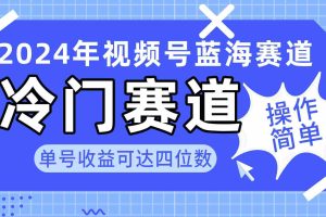 （10195期）2024视频号冷门蓝海赛道，操作简单 单号收益可达四位数（教程+素材+工具）