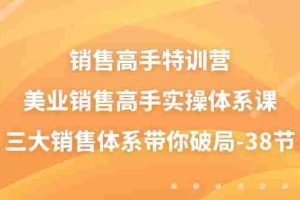 (10939期)销售-高手特训营,美业-销售高手实操体系课,三大销售体系带你破局-38节