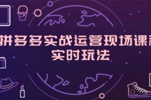 (11759期)拼多多实战运营现场课程,实时玩法,爆款打造,选品、规则解析