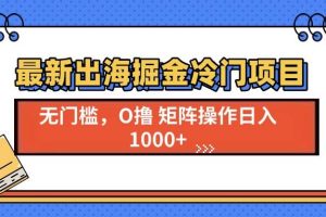 （13672期）最新出海掘金冷门项目，单号日入1000+