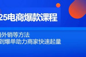 （14644期）2025电商爆款课程，内销外销等方法，从0到爆单助力商家快速起量