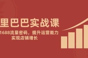 （14830期）阿里巴巴实战课：掌握1688流量密码，提升运营能力，实现店铺增长