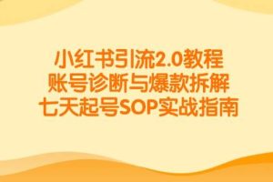 （14981期）小红书引流2.0教程，账号诊断与爆款拆解，七天起号SOP实战指南
