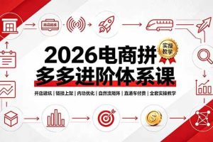 (19206期)2026电商拼多多进阶体系课,开店避坑,链接上架,内功优化,自然流矩阵|直通车付费|全套实操教学