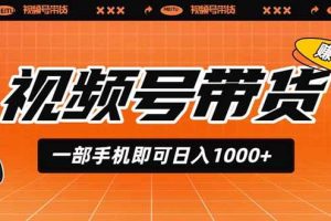 (19366期)视频号带货,一部手机即可日入1000+,无人直播玩法轻松躺赚带货佣金
