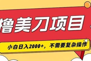 (19493期)撸美刀,单日收入2000+,小白可做